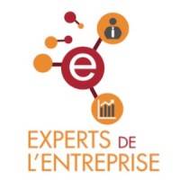 logo Experts de l'entreprise